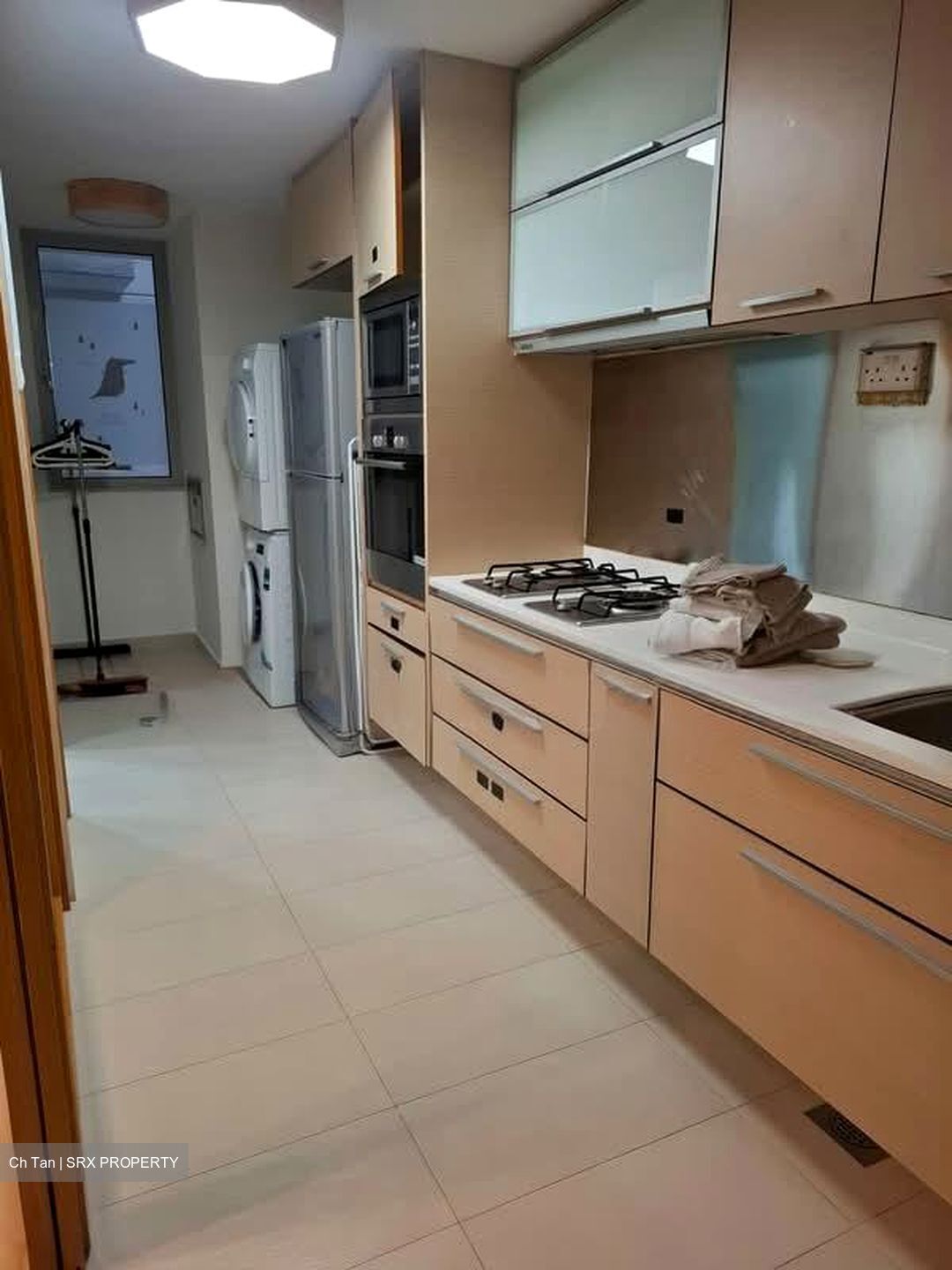 8 @ Mount Sophia (D9), Condominium #575613141